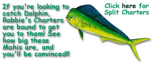 Islamorada Fishing Charters