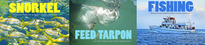 Fish Dive Feed Tarpon