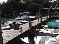 View live video from the docks at Robbie's Marina!