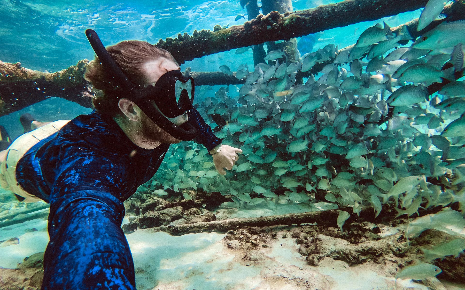 Florida Keys<br>Snorkeling