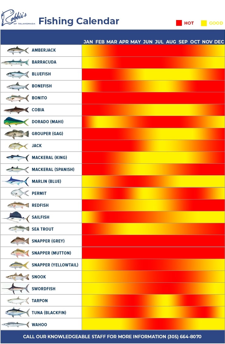 Fishing Calendar Best Times to Fish in Islamorada Robbie´s