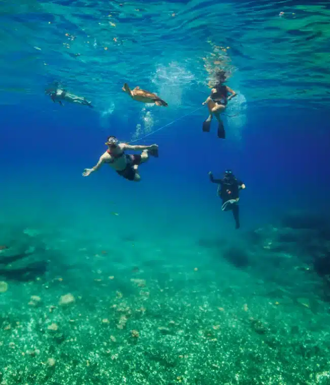 Snorkeling vs Snuba Diving 1