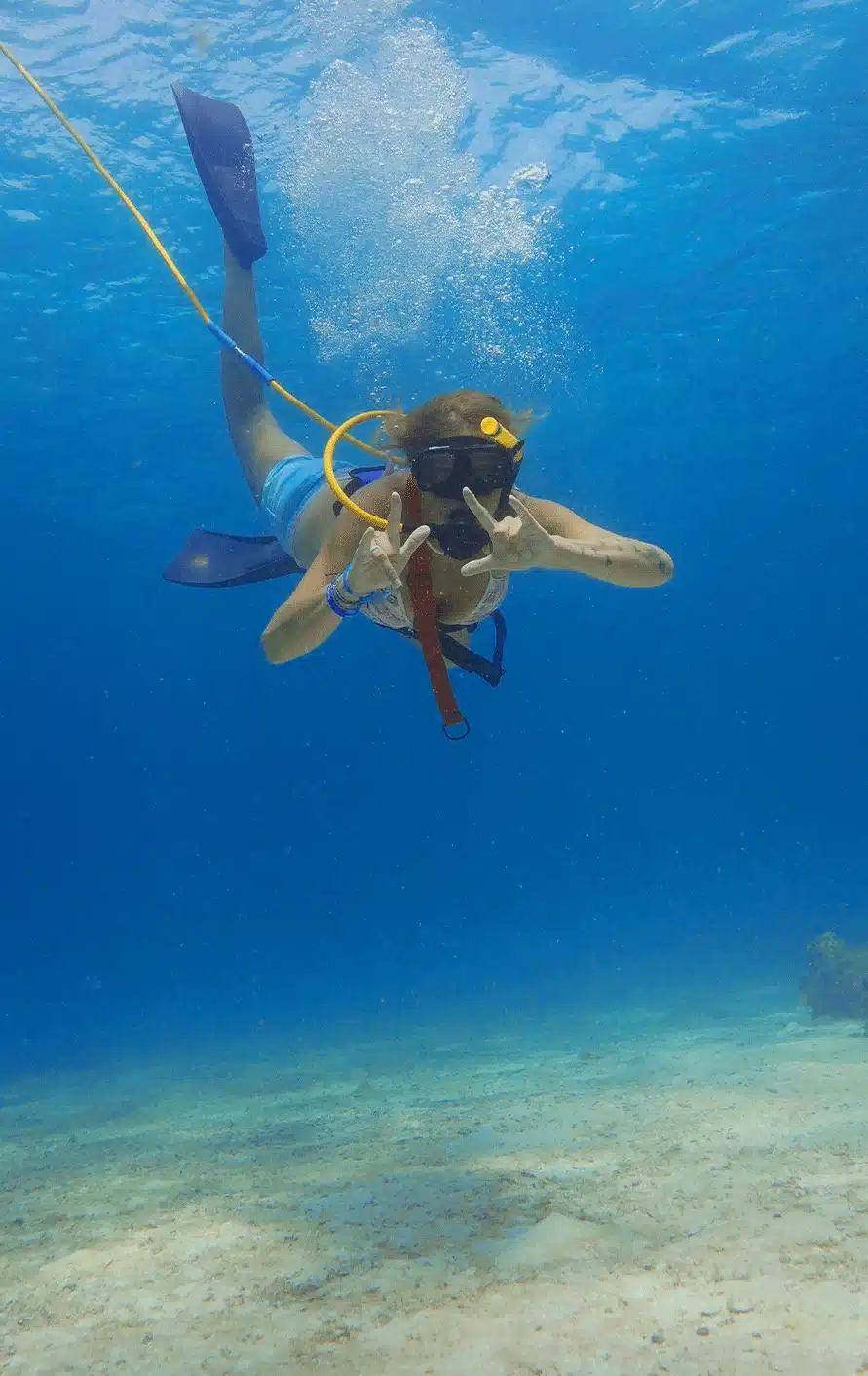 Snuba diving in Islamorada