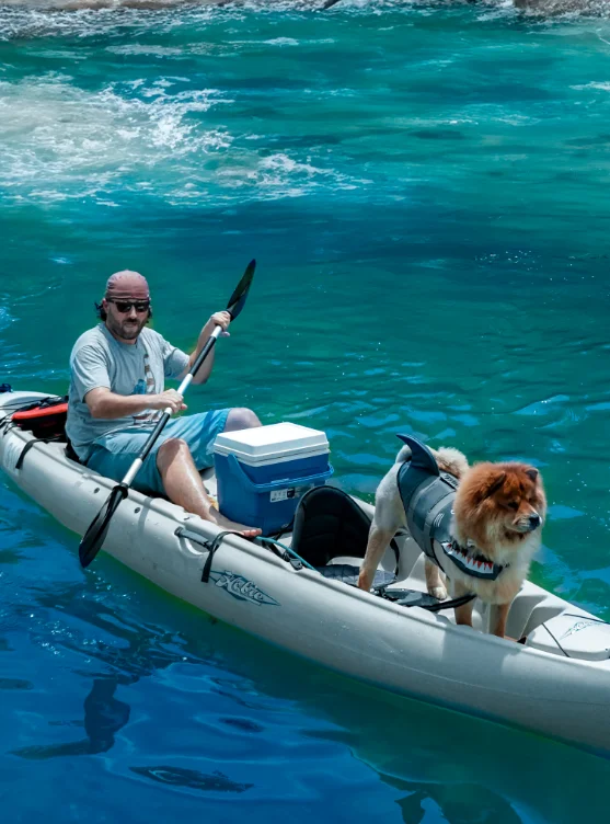 Pet Friendly Activities To Do in Islamorada